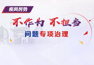 【专题】不作为不担当问题专项治理